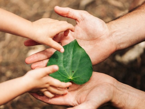 Te Tauraki releases Māori-led health monitoring framework